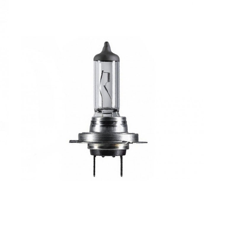 Light bulb H1 24V 70W