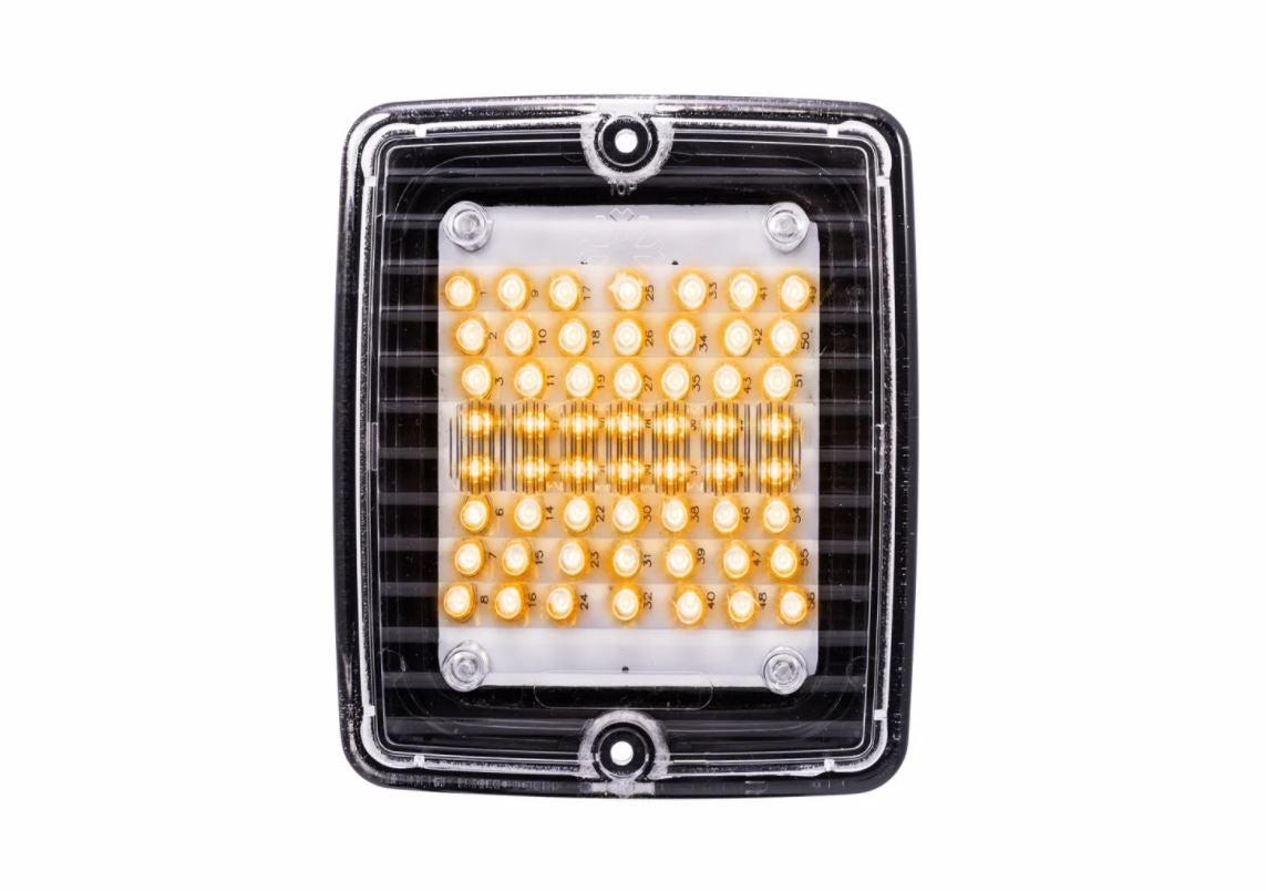 Flashing Light LED Clear Lens 24V